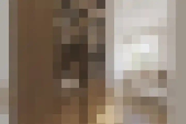 Minervaplein 11 3 Amsterdam thumbnail 8