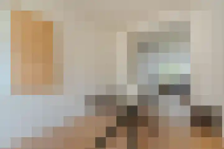Minervaplein 11 3 Amsterdam thumbnail 9