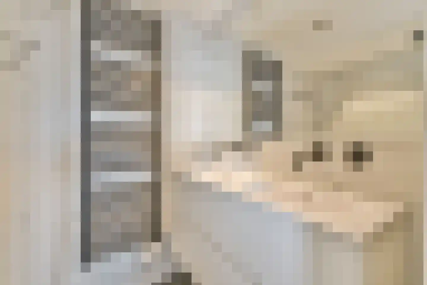 Minervaplein 11 H Amsterdam thumbnail 13
