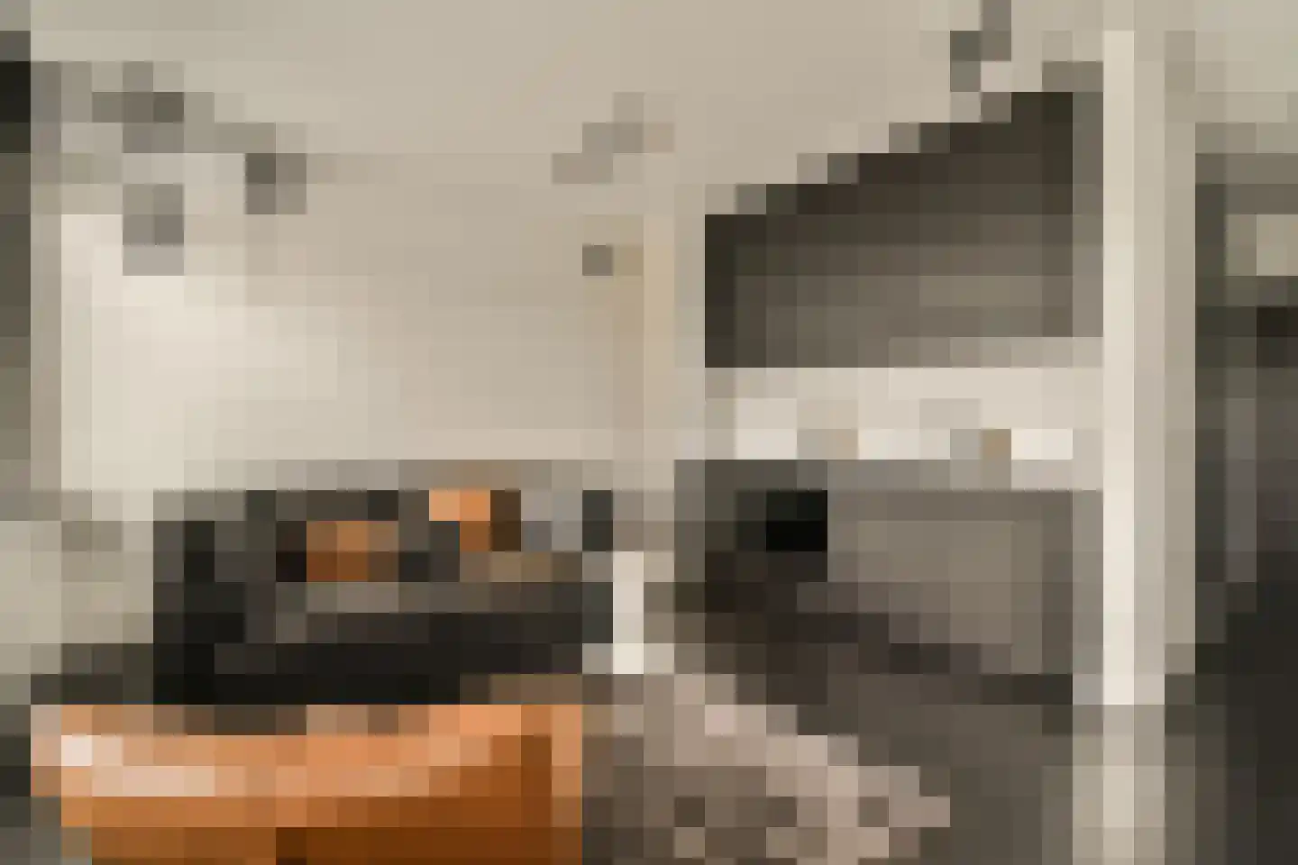 Minervaplein 11 H Amsterdam thumbnail 5