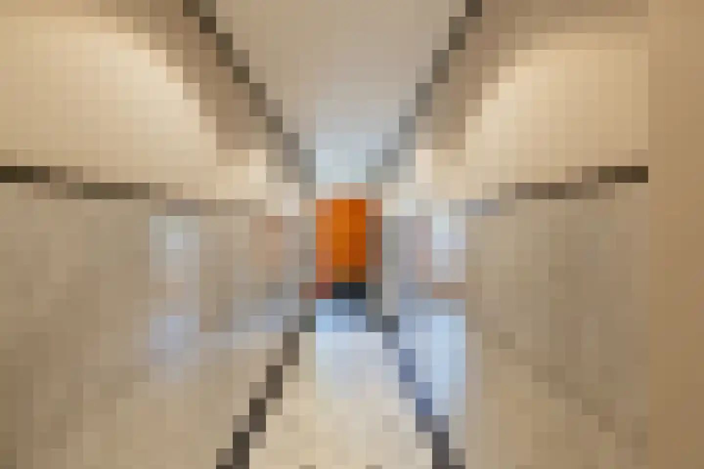 Minervaplein 11 H Amsterdam thumbnail 6