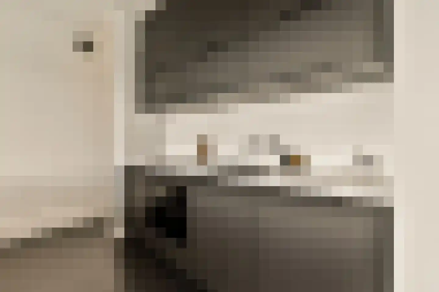 Minervaplein 11 H Amsterdam thumbnail 6