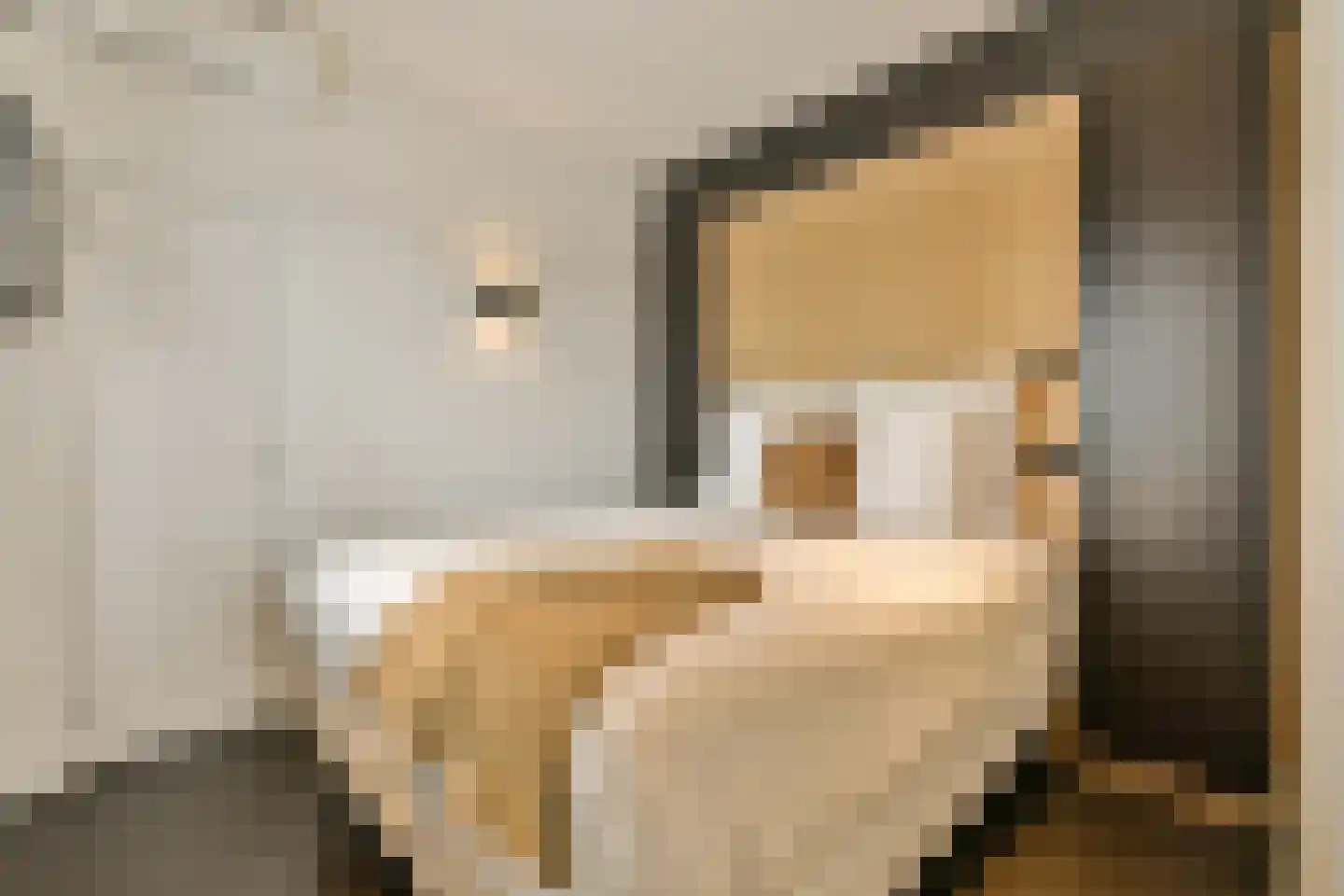 Minervaplein 11 H Amsterdam thumbnail 9