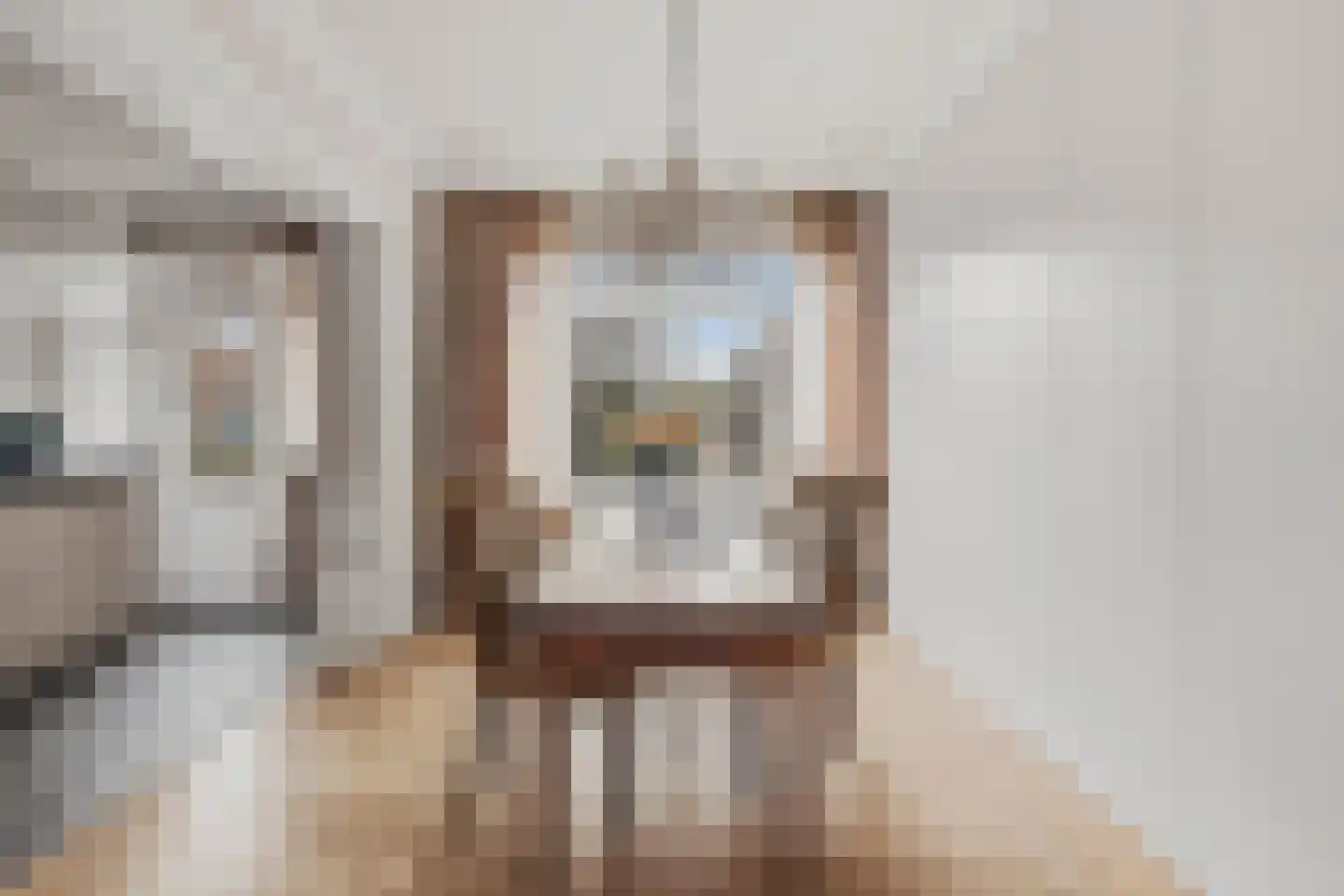 Minervaplein 14 1 Amsterdam thumbnail 15