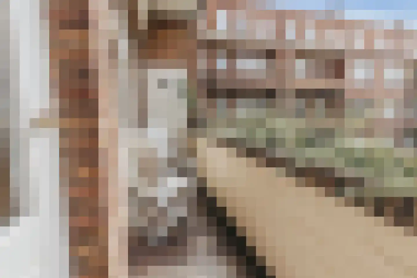 Minervaplein 14 1 Amsterdam thumbnail 22