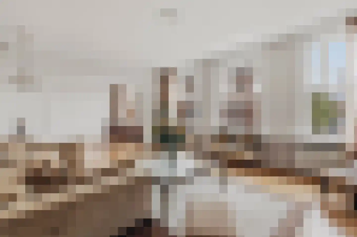 Minervaplein 14 1 Amsterdam thumbnail 9