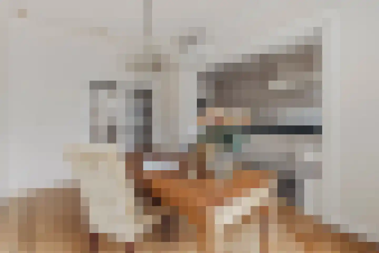 Minervaplein 14 3 Amsterdam thumbnail 17