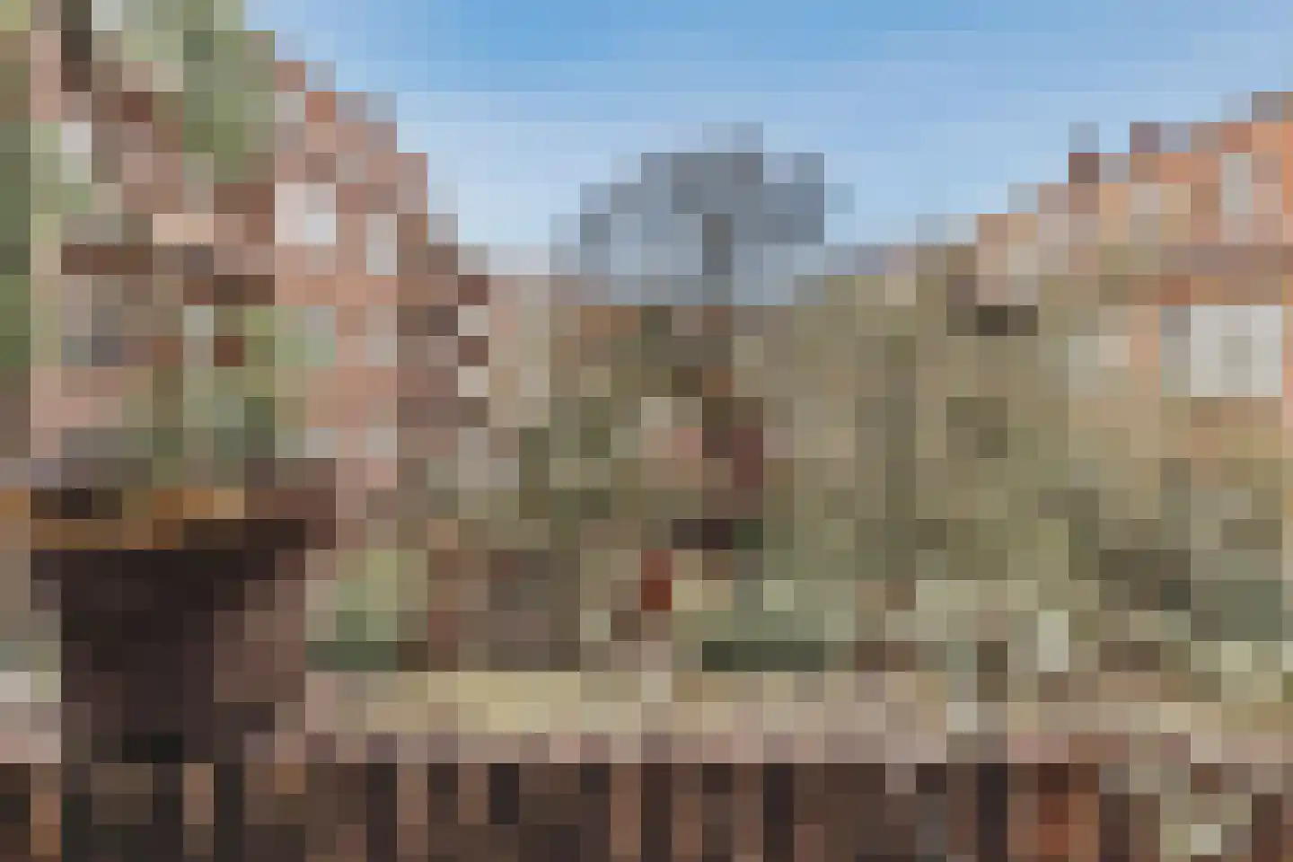 Minervaplein 14 3 Amsterdam thumbnail 23