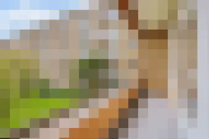 Minervaplein 15 3 Amsterdam thumbnail 8