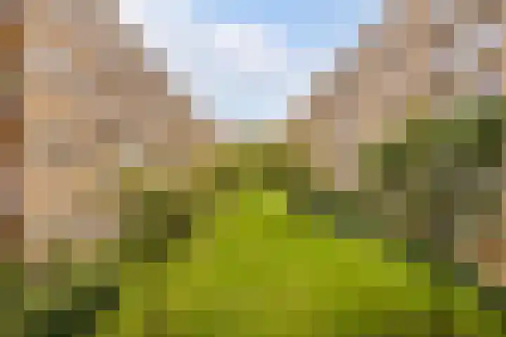 Minervaplein 15 3 Amsterdam thumbnail 9