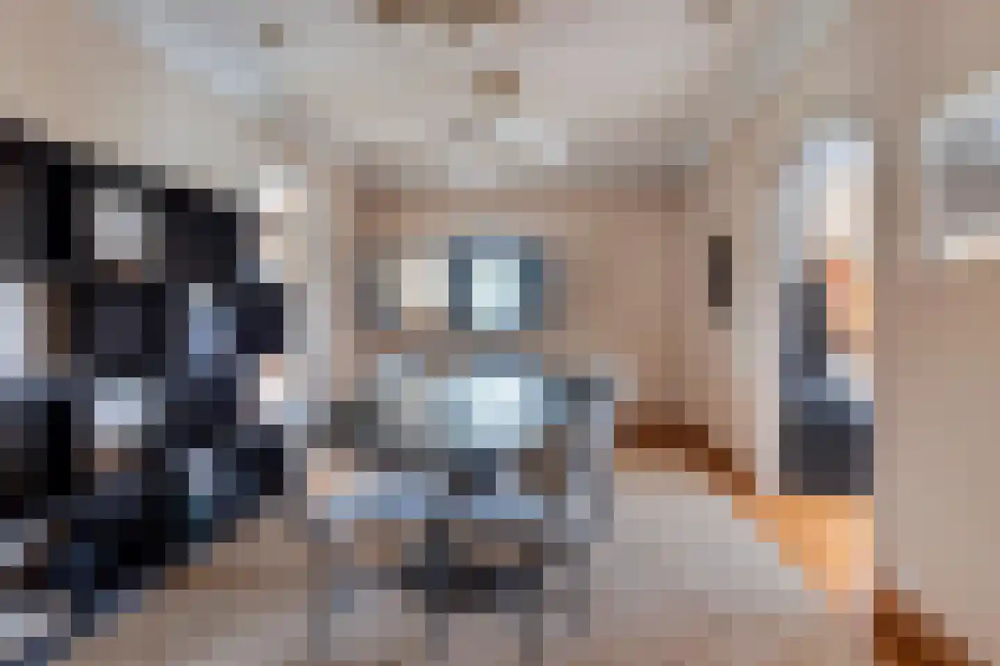 Minervaplein 2 2 Amsterdam thumbnail 11