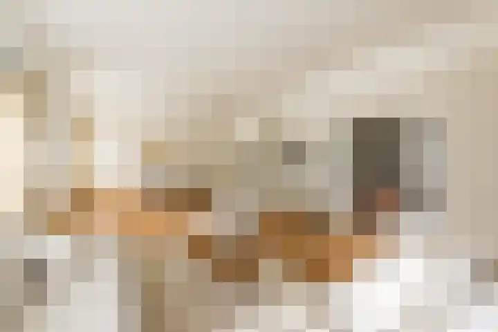 Minervaplein 2 2 Amsterdam thumbnail 14