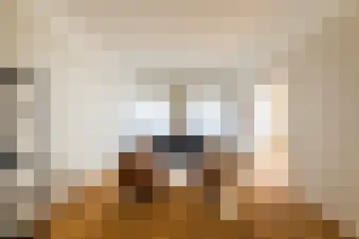 Minervaplein 2 2 Amsterdam thumbnail 20