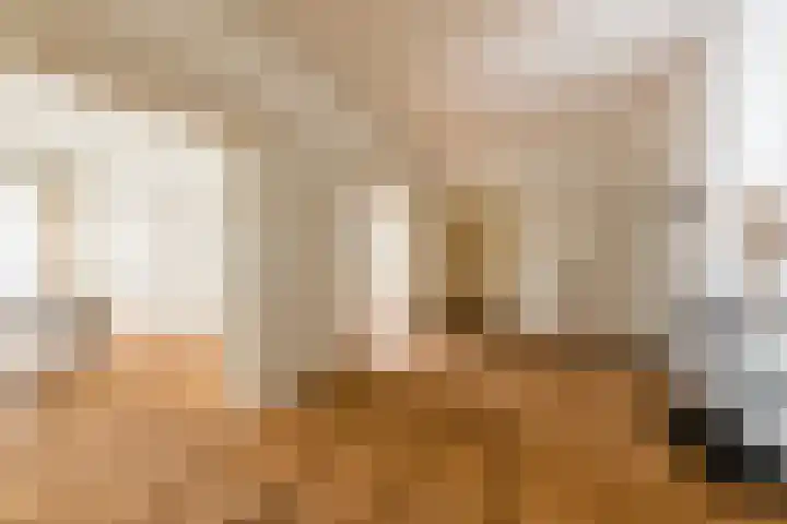 Minervaplein 2 2 Amsterdam thumbnail 24