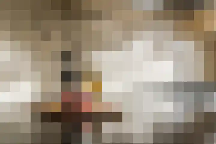 Minervaplein 2 2 Amsterdam thumbnail 26