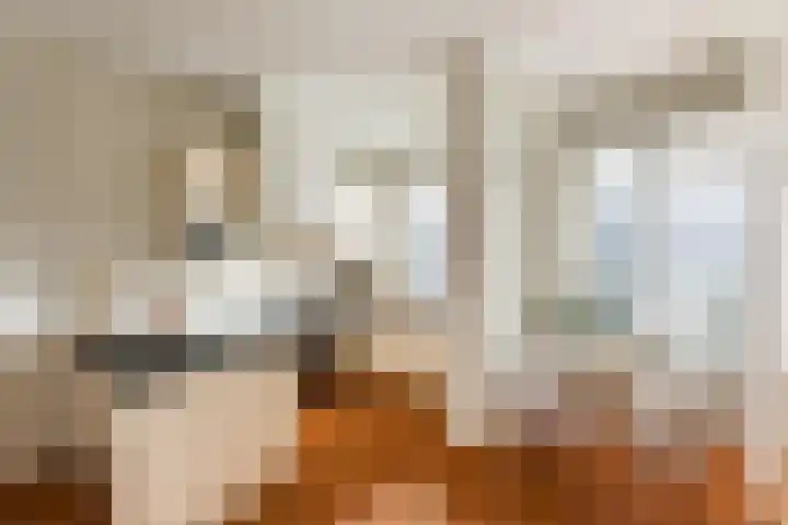 Minervaplein 2 2 Amsterdam thumbnail 27