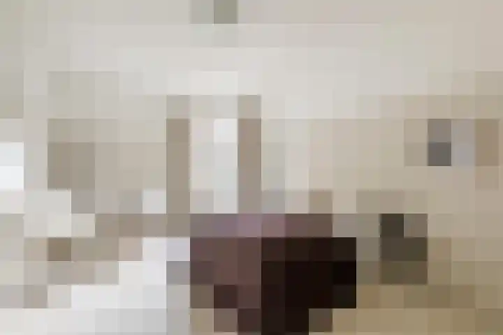 Minervaplein 2 2 Amsterdam thumbnail 31