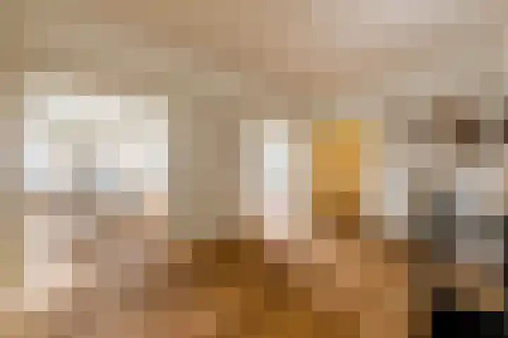 Minervaplein 2 2 Amsterdam thumbnail 7