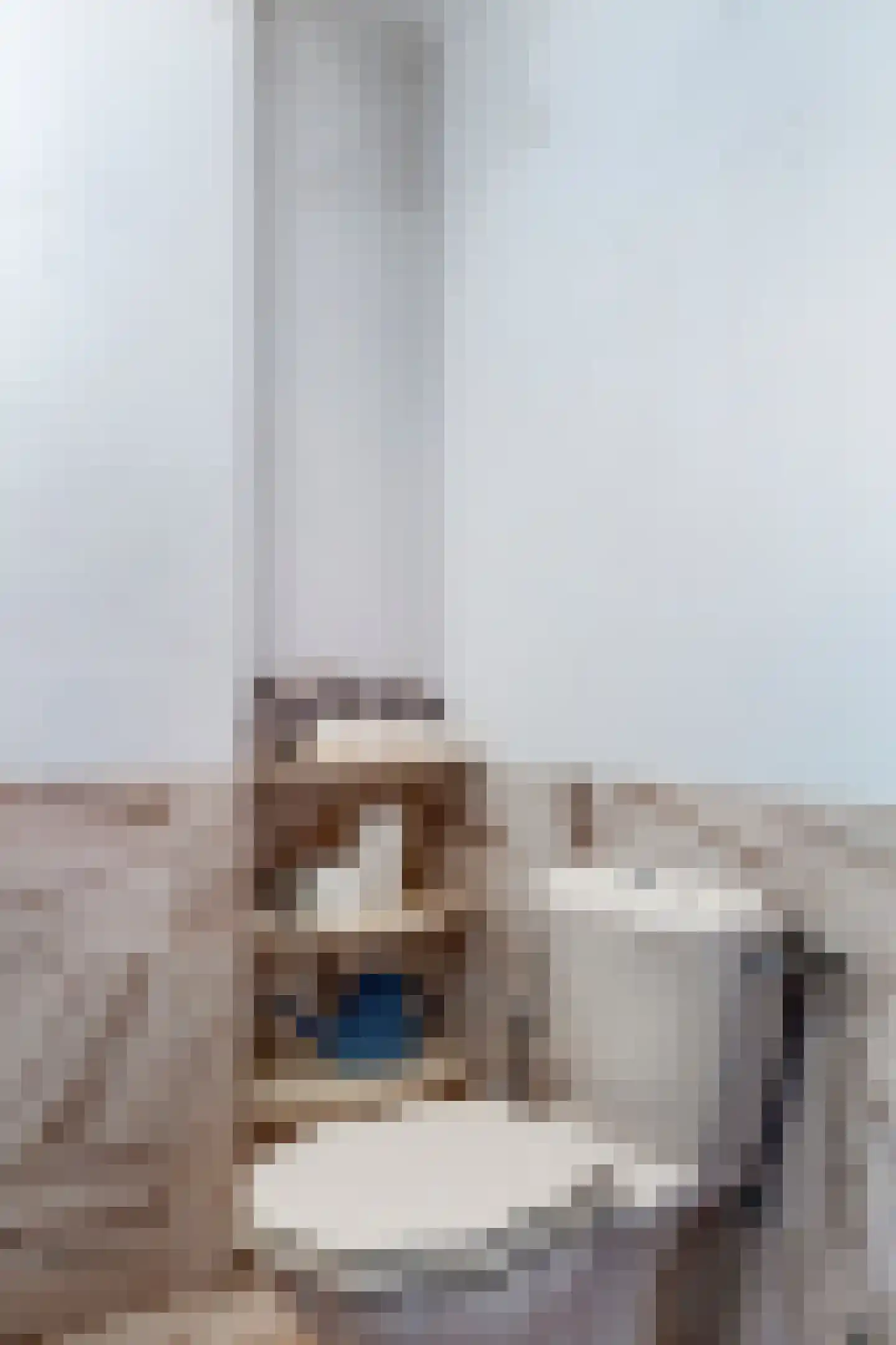 Minervaplein 2 4 Amsterdam thumbnail 10