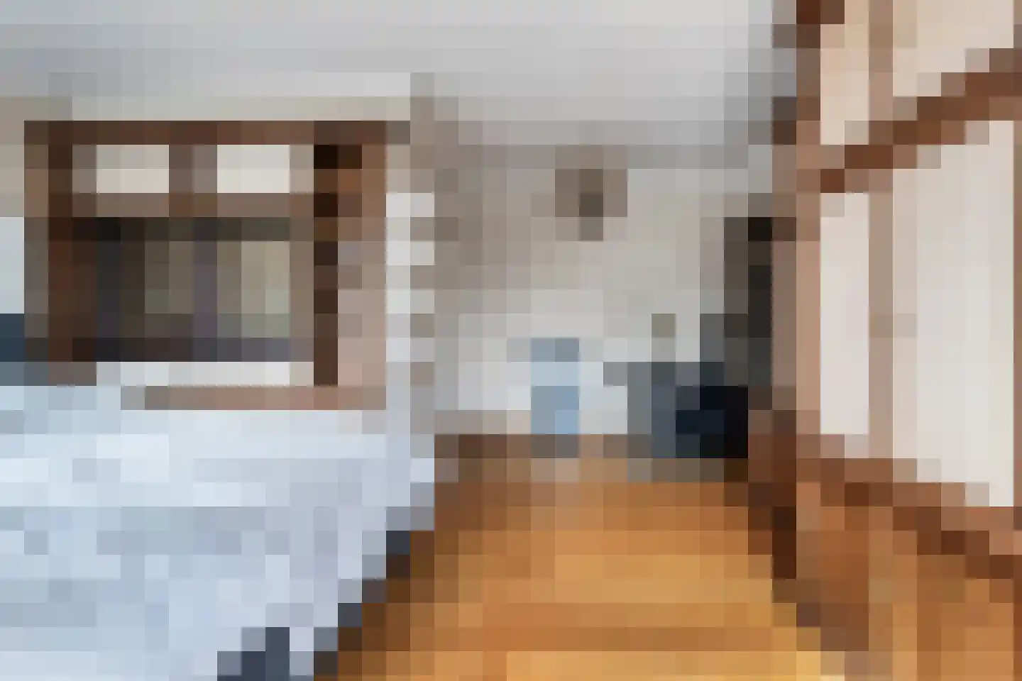 Minervaplein 2 4 Amsterdam thumbnail 20