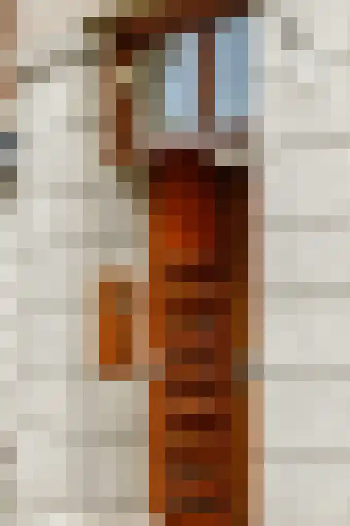 Minervaplein 29 3 Amsterdam thumbnail 31