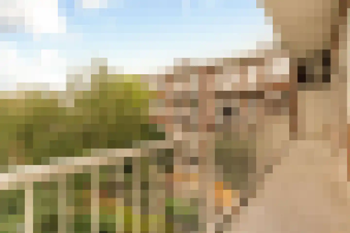 Minervaplein 32 3 Amsterdam thumbnail 14