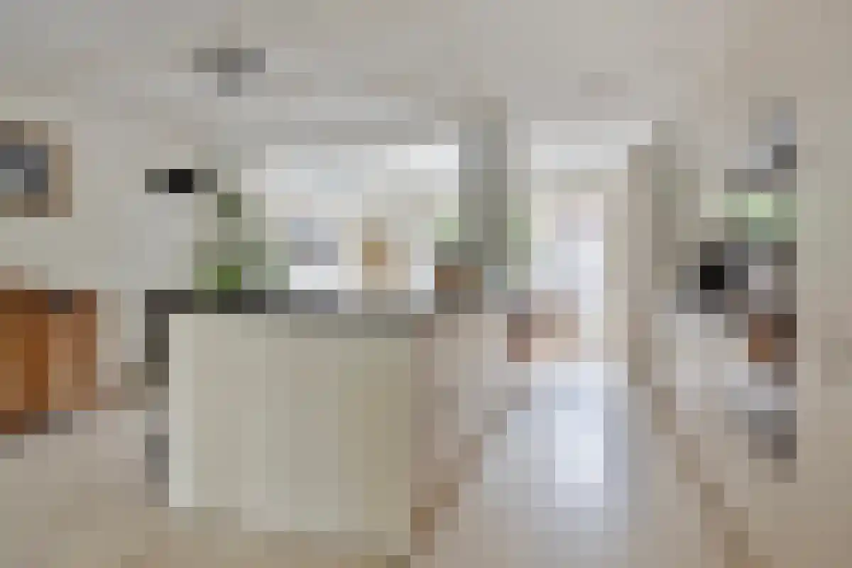 Minervaplein 33 Utrecht thumbnail 5