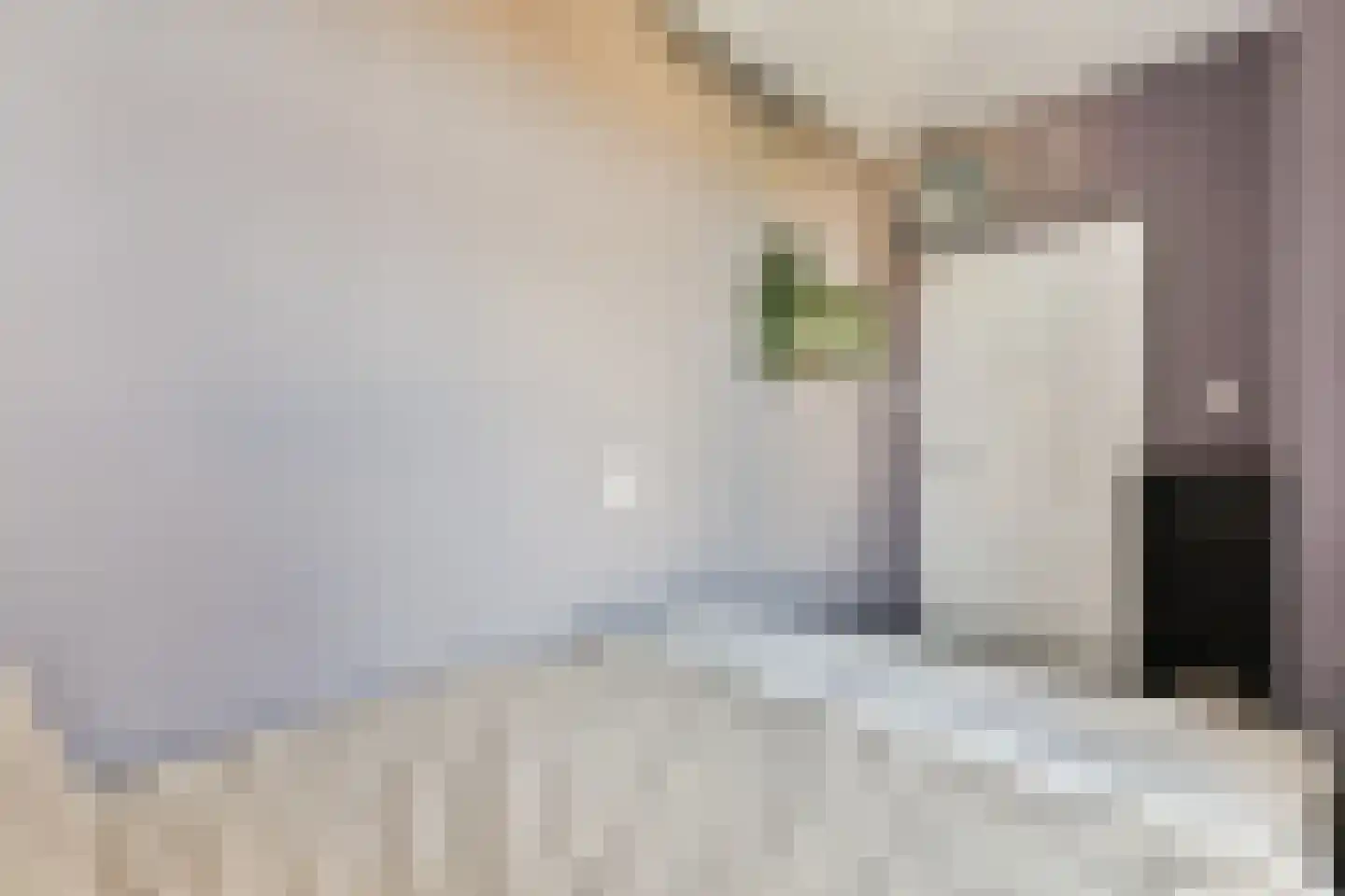 Minervaplein 34 4 Amsterdam thumbnail 18