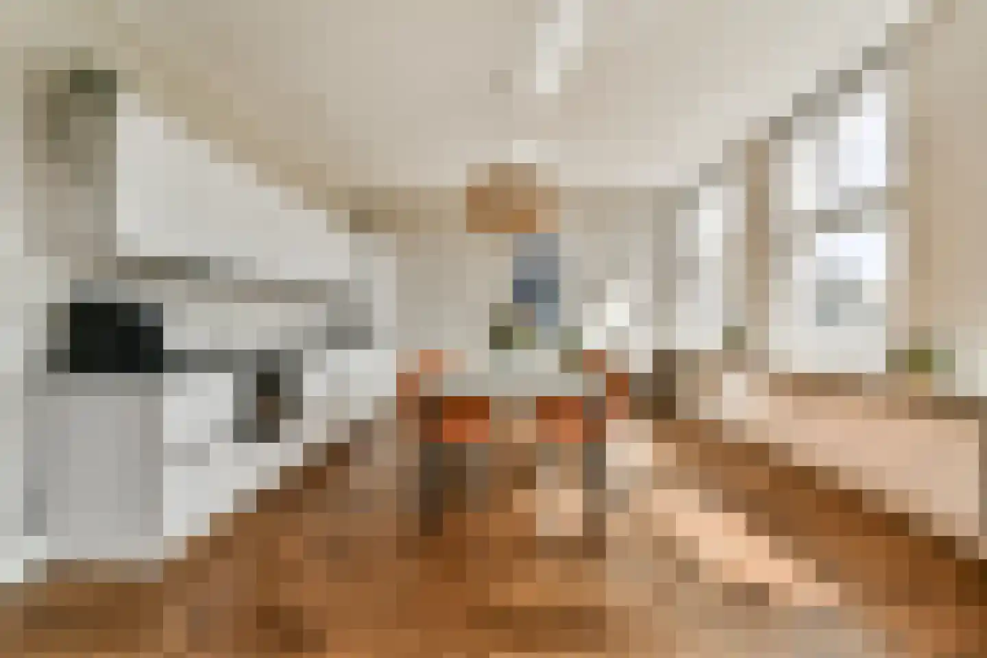 Minervaplein 34 4 Amsterdam thumbnail 4