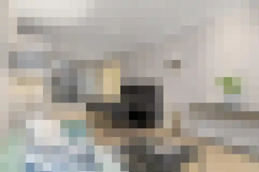 Minervaplein 34 H Amsterdam thumbnail 14
