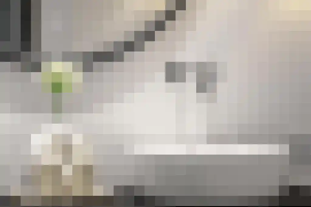 Minervaplein 34 H Amsterdam thumbnail 38