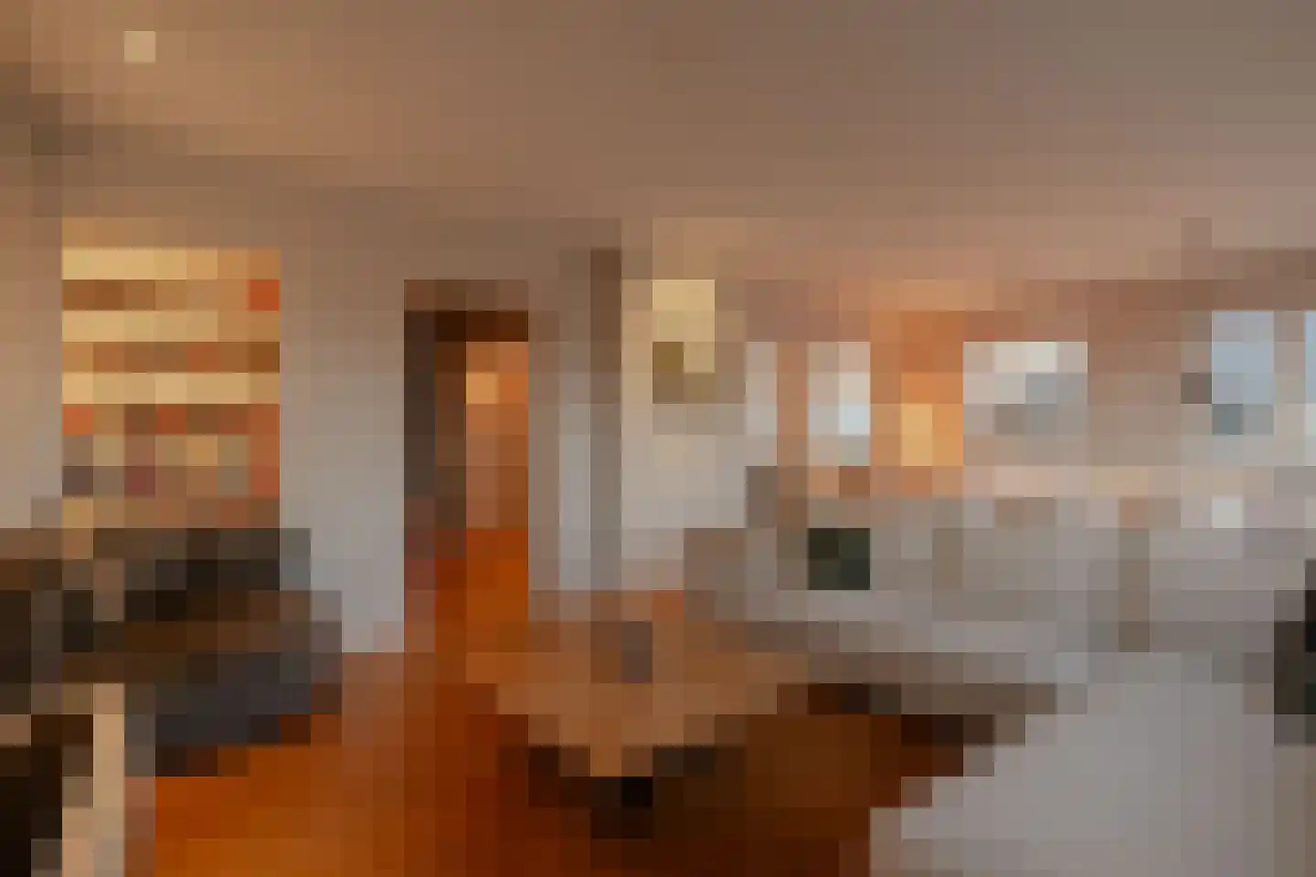 Minervaplein 36 6 Amsterdam thumbnail 11