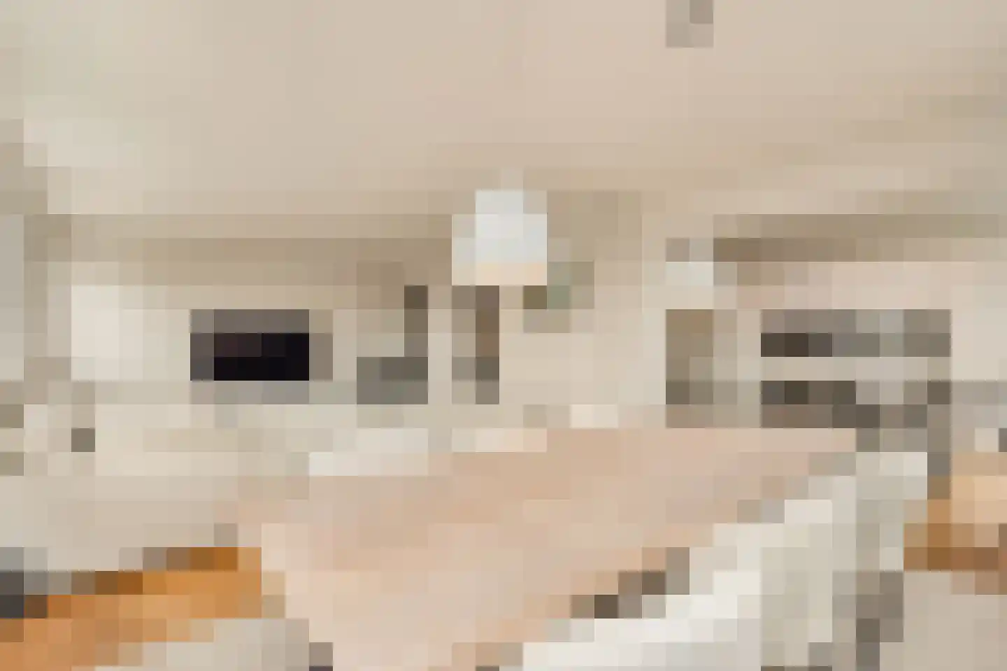 Minervaplein 36 6 Amsterdam thumbnail 16