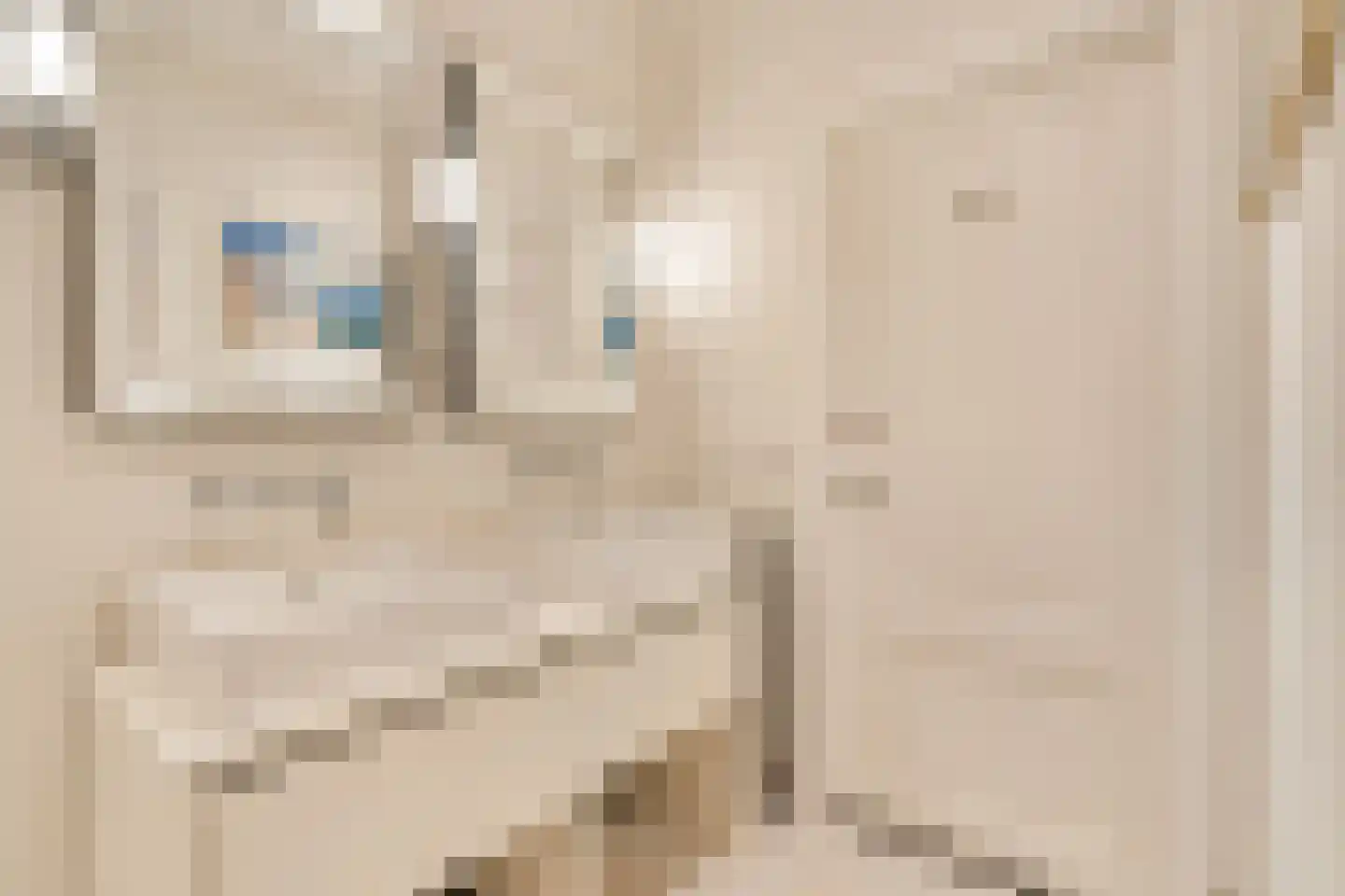 Minervaplein 36 6 Amsterdam thumbnail 36