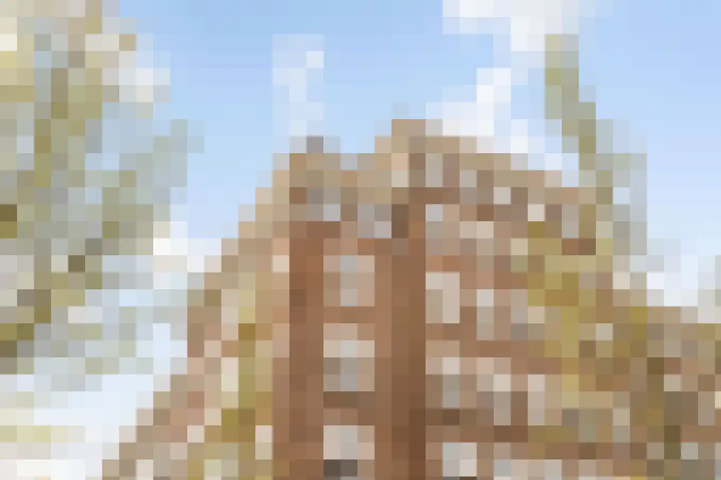 Minervaplein 36 6 Amsterdam thumbnail 40