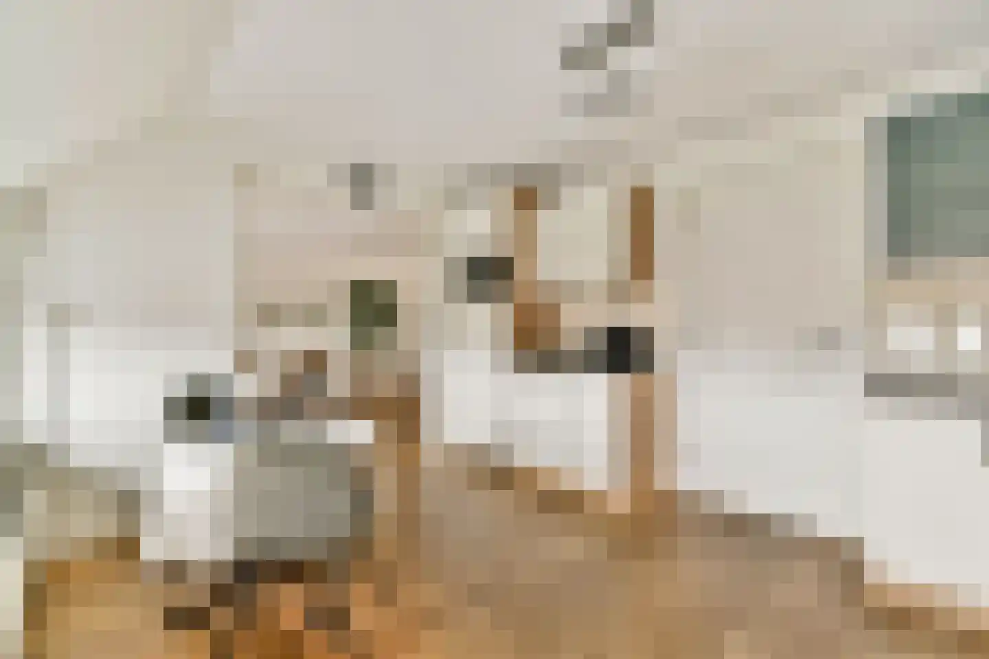 Minervaplein 5 4 Amsterdam thumbnail 7