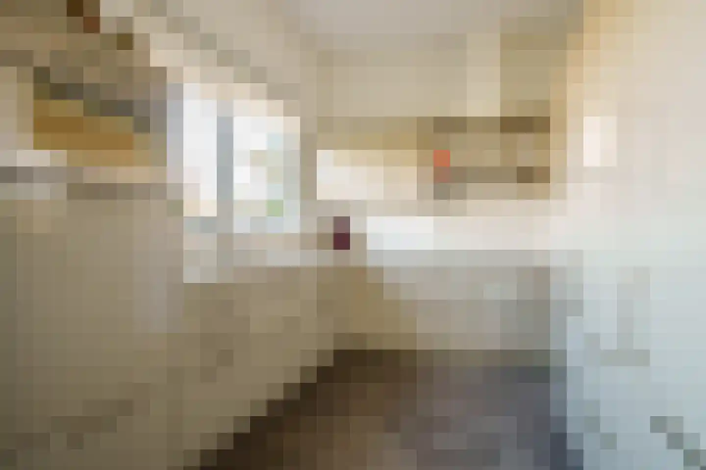 Minervasingel 18 Almere thumbnail 9