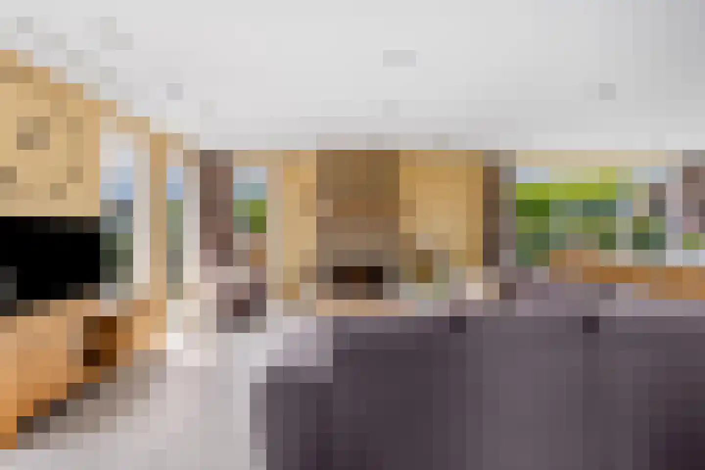 Minervasingel 30 Almere thumbnail 21