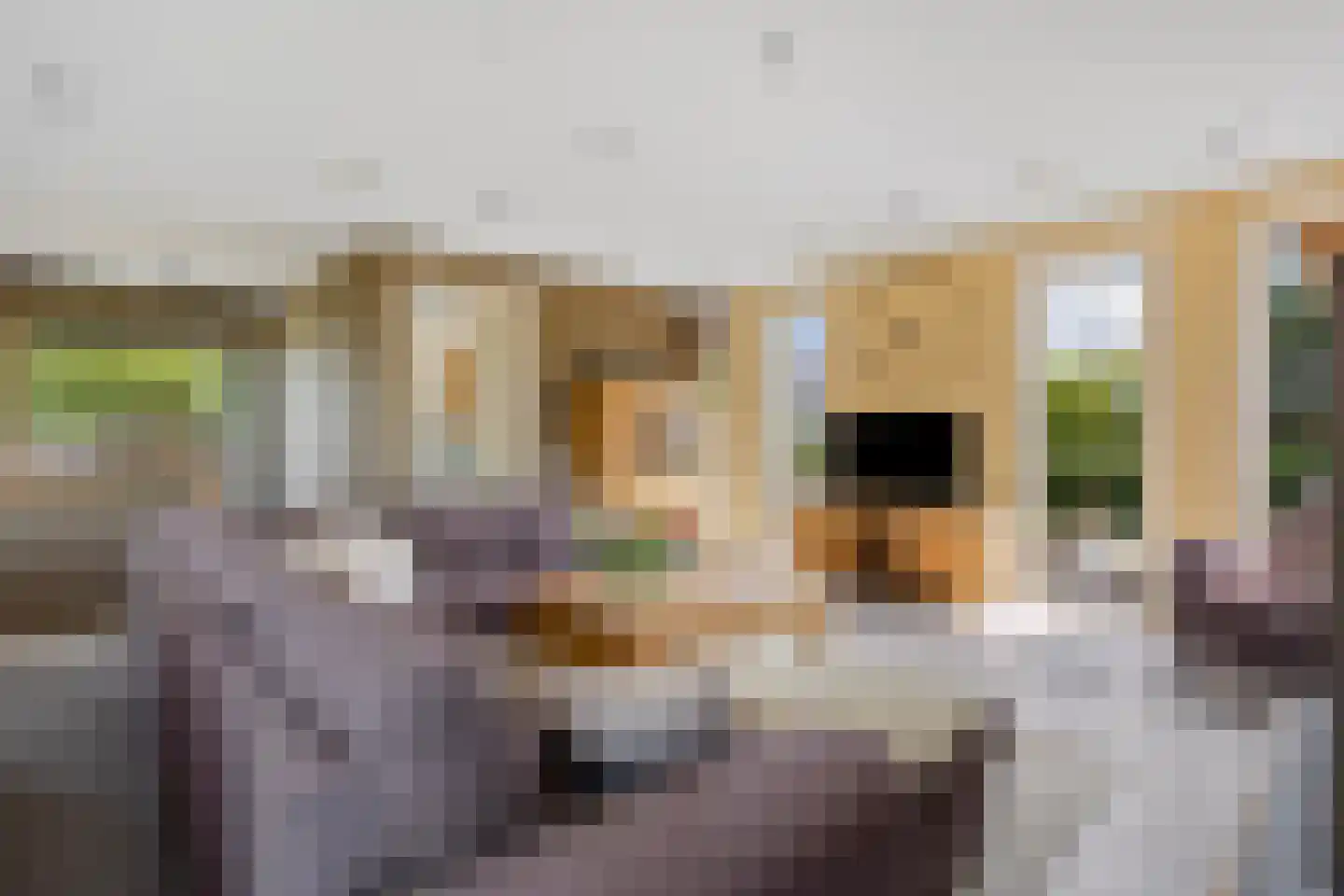 Minervasingel 30 Almere thumbnail 25