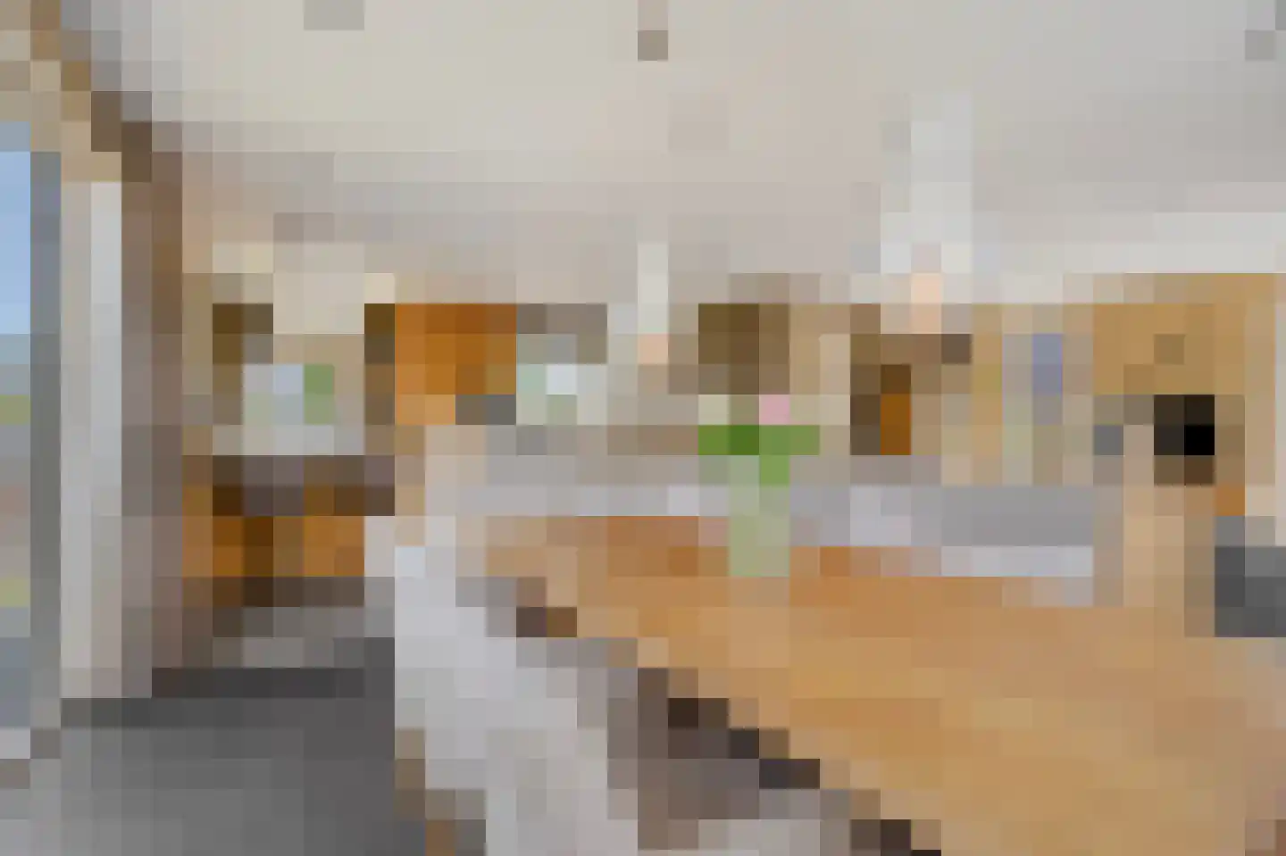 Minervasingel 30 Almere thumbnail 26