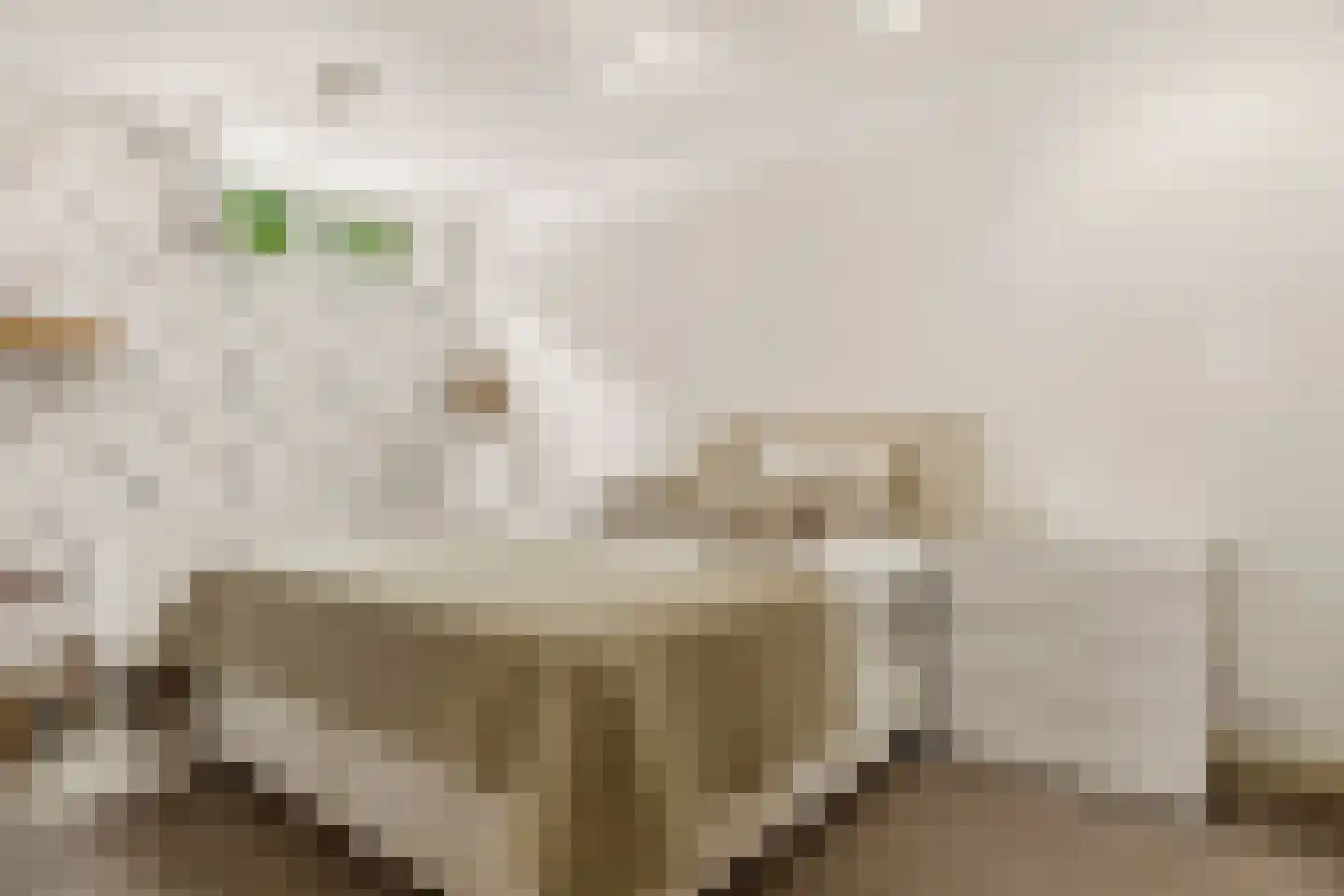 Minervasingel 30 Almere thumbnail 27