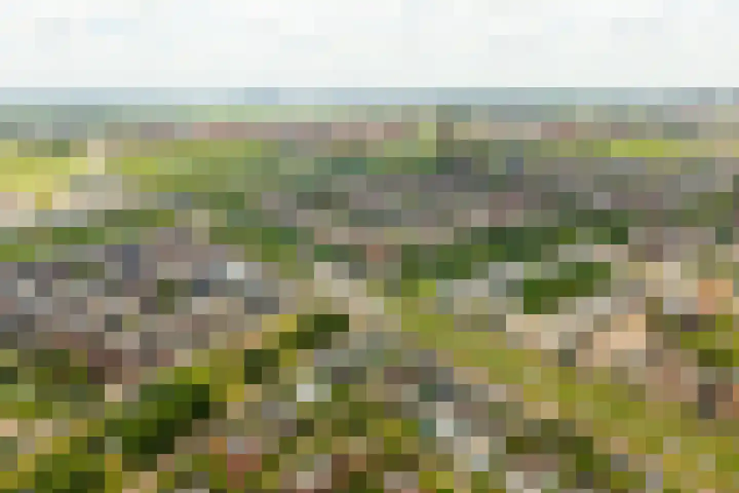 Minervasingel 30 Almere thumbnail 62