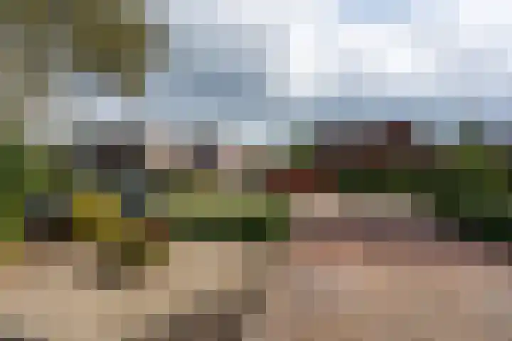 Minervastraat 20 Veendam thumbnail 33