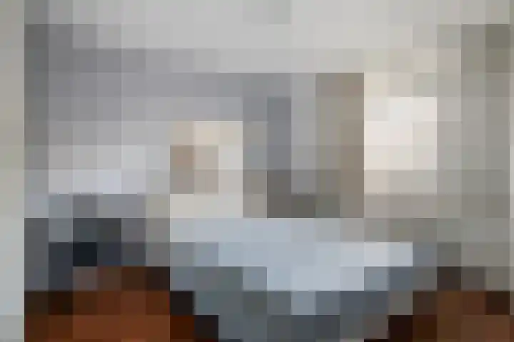 Minervastraat 43 Tiel thumbnail 11