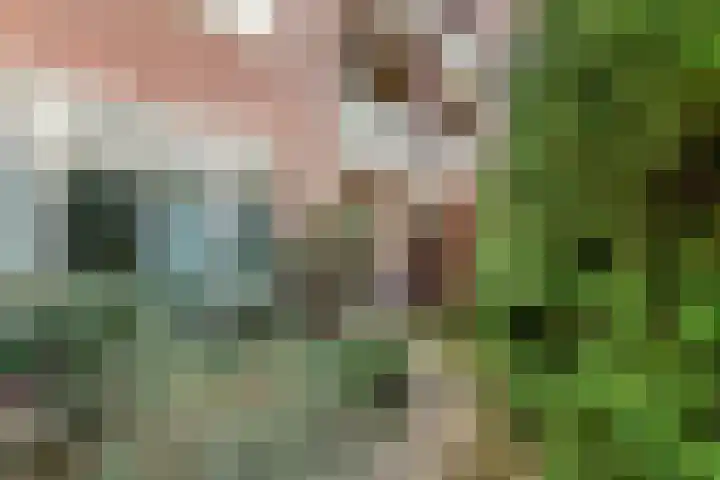 Minervastraat 43 Tiel thumbnail 18