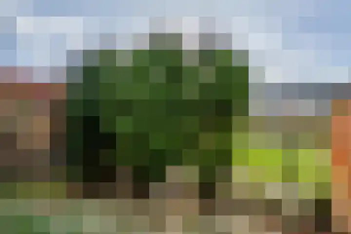 Minervastraat 43 Tiel thumbnail 19