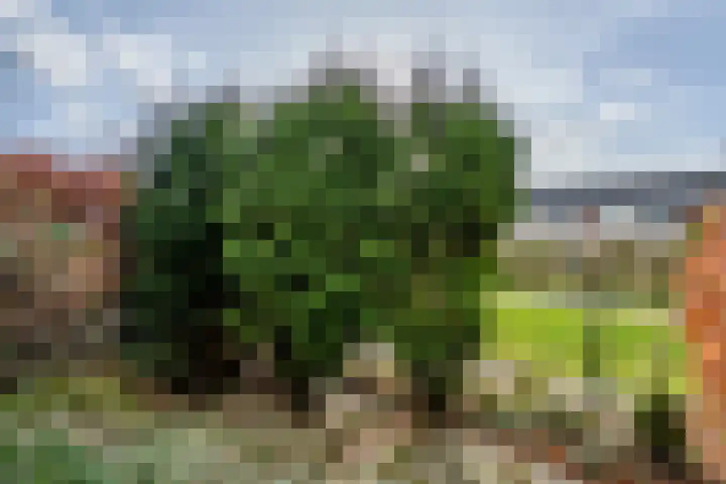 Minervastraat 43 Tiel thumbnail 19