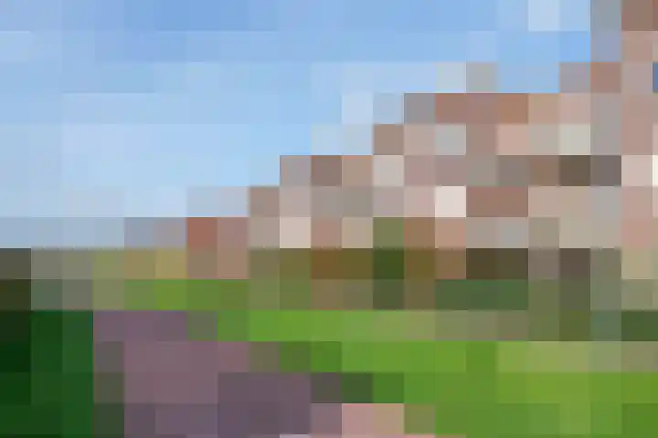Minervastraat 43 Tiel thumbnail 20