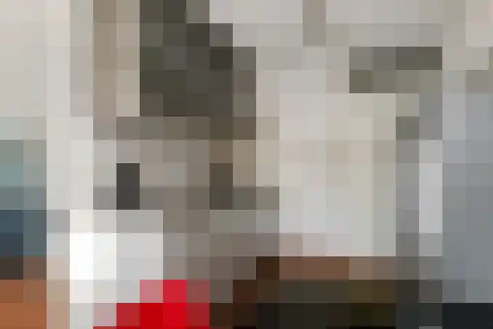 Minervastraat 43 Tiel thumbnail 8