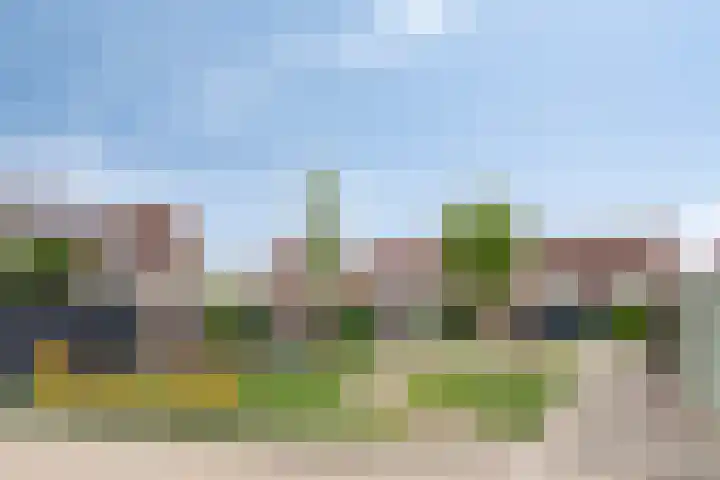Minervastraat 63 Tiel thumbnail 24
